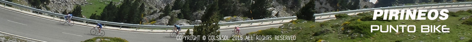 pie de pagina: bosque