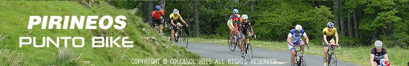 foto de pie de pagina: bosque