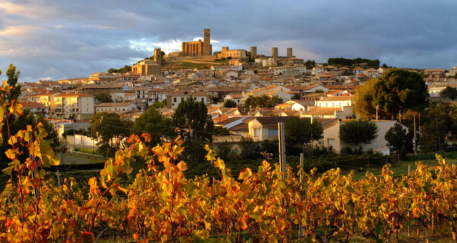 Cerco de Artajona entre viñedos