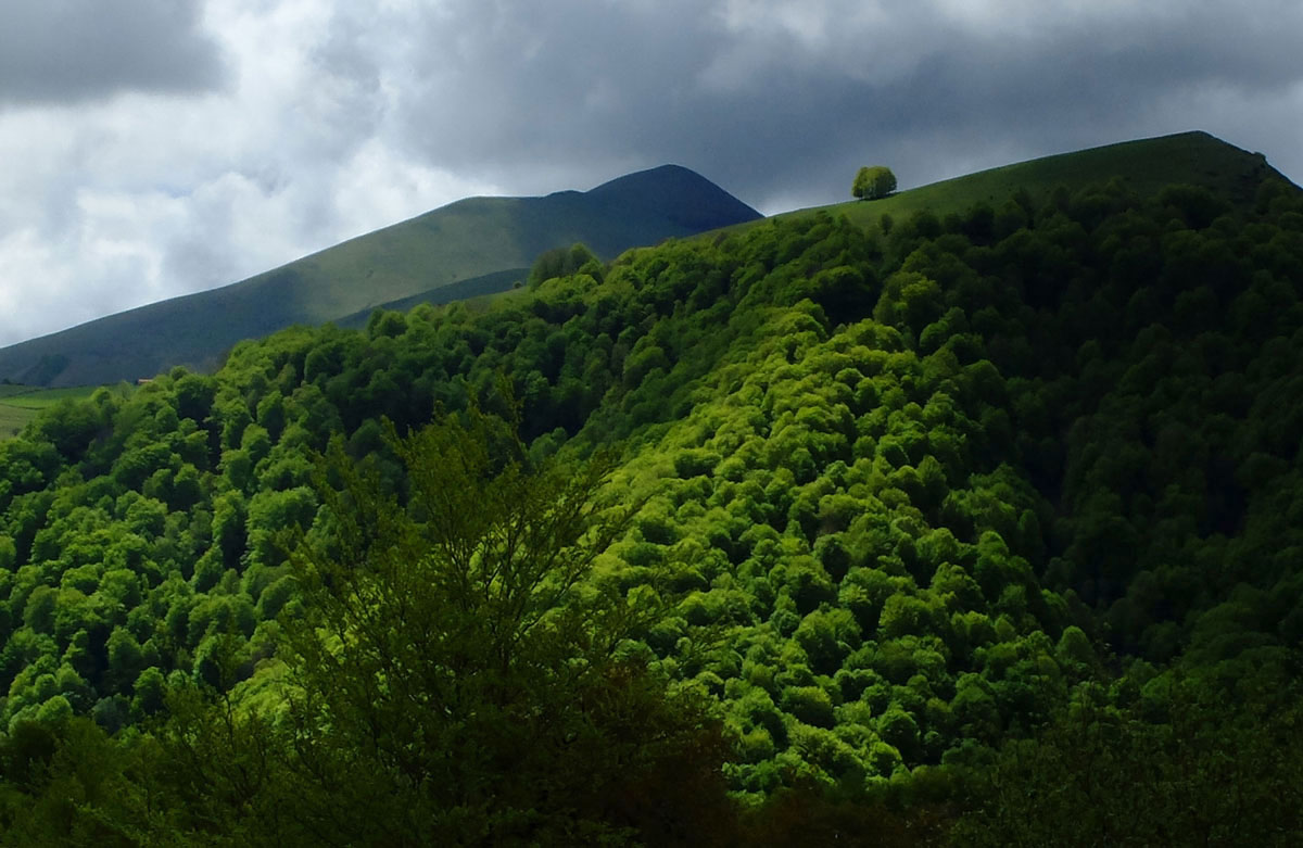 Green mountains of Navarre