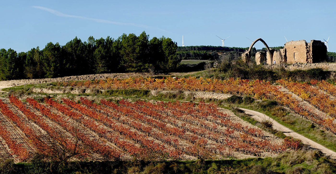 San Juan de los Ramos Monastery