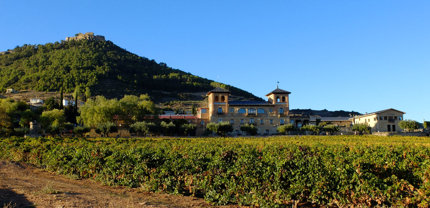 Mojardin Castle winery