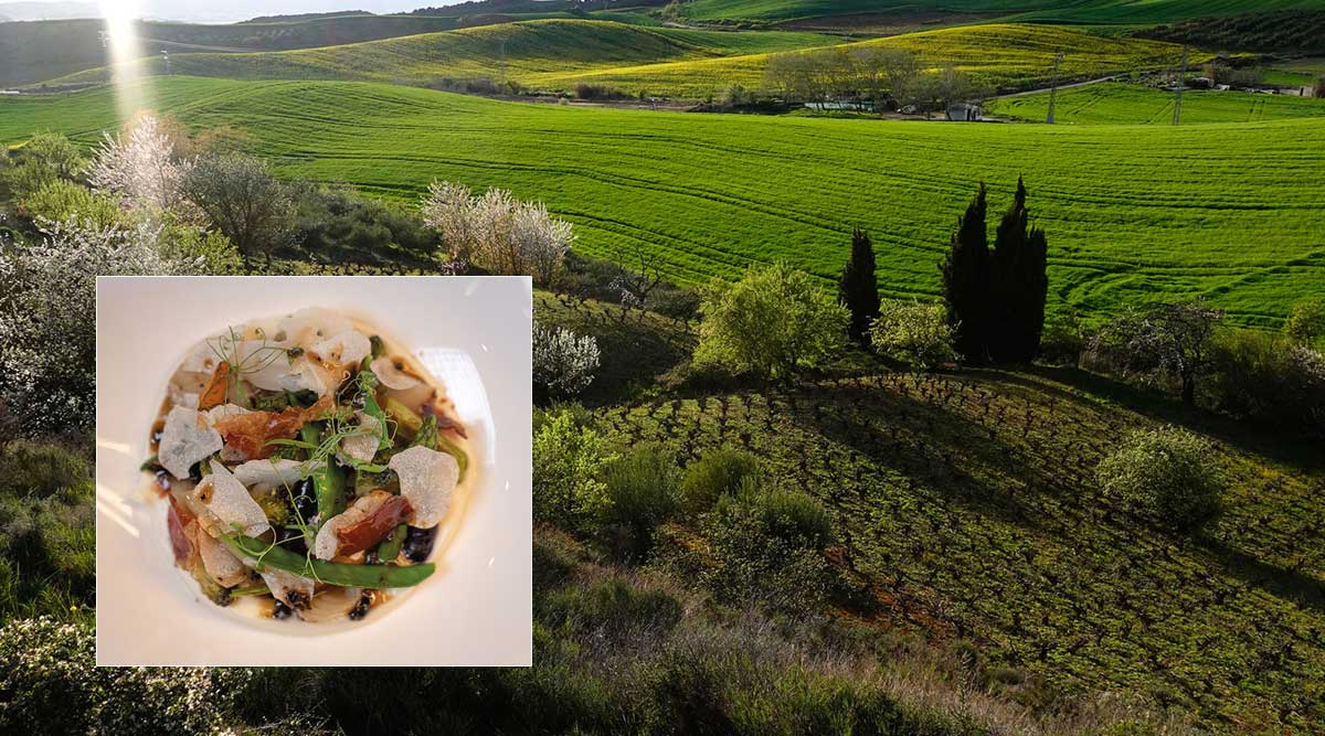 Experience Mirador-de-Deyo