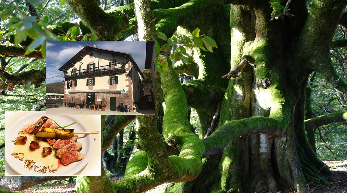 Experience Posada-Elbete