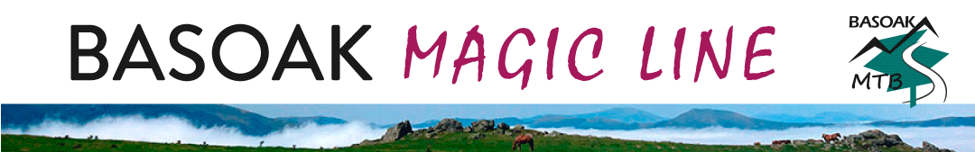 logo-Basoak-Magic-Line