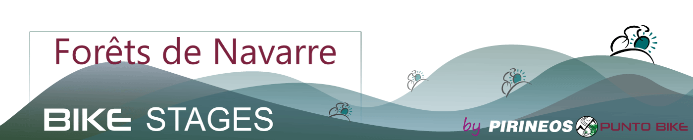 logo-Forests-de-Navarre-big