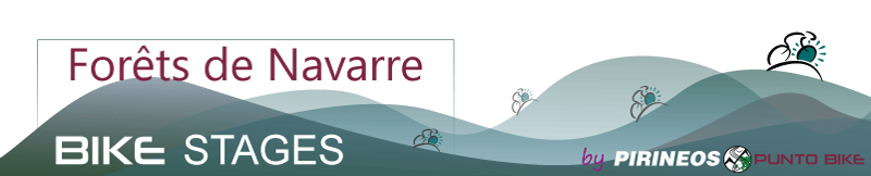 logo-Forests-de-Navarre-small