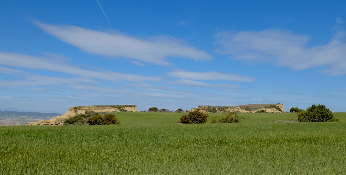 Bardena-Navarra-desde-Aragon-1