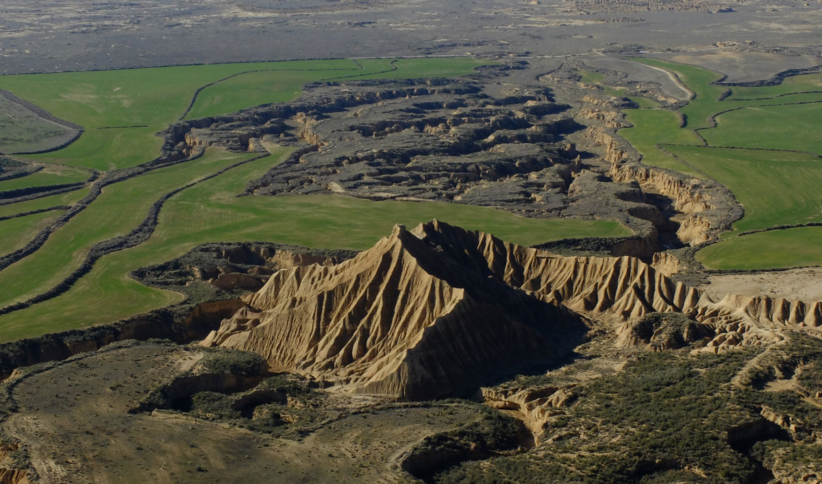 Bardena en estado puro