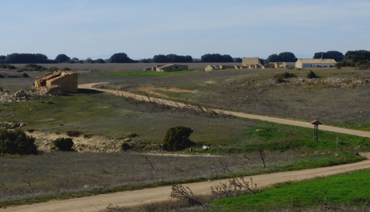La Plana de la Bardena Negra