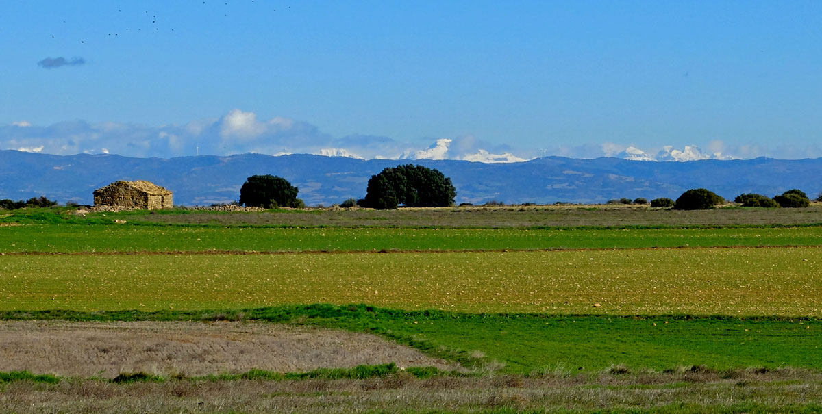 El Plano de la Bardena