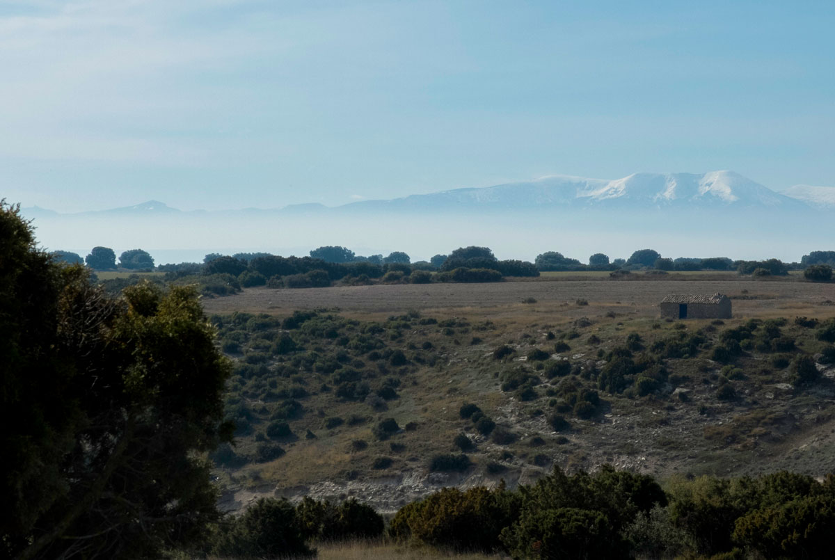 Moncayo and Plana de la Bardena Negra