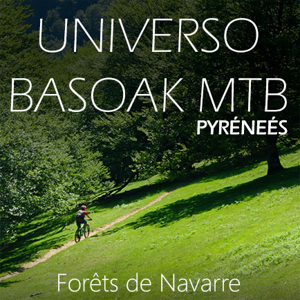Basoak-MTB