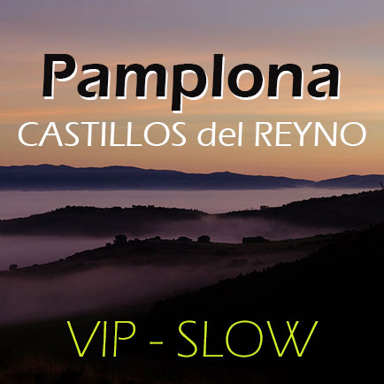 thumb-pamplona-Castillos-del-Reyno