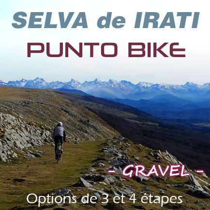 Selva de Irati GRAVEL