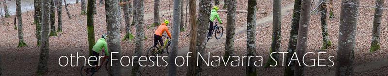 more-Forest-of-Navarra-packs
