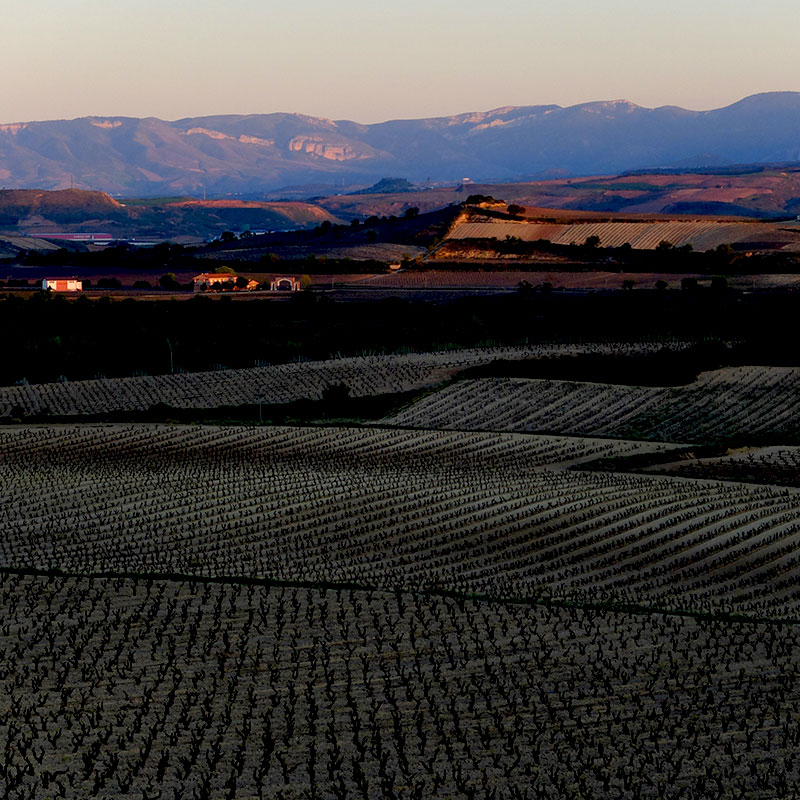 Coucher de soleil à La Rioja