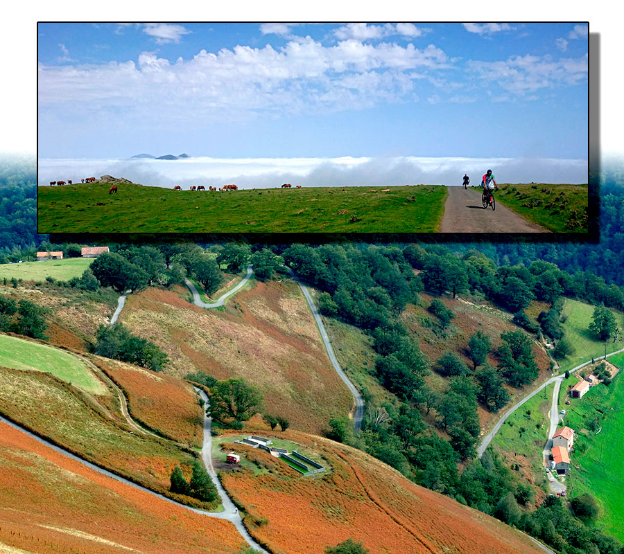 Ahusky-La-Vuelta-2016