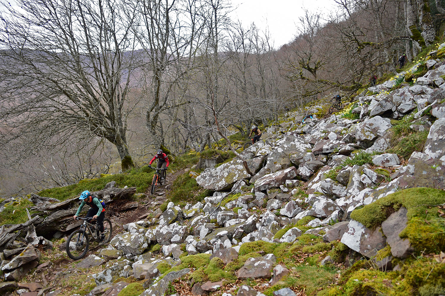 Nafar-whistler-Eremua