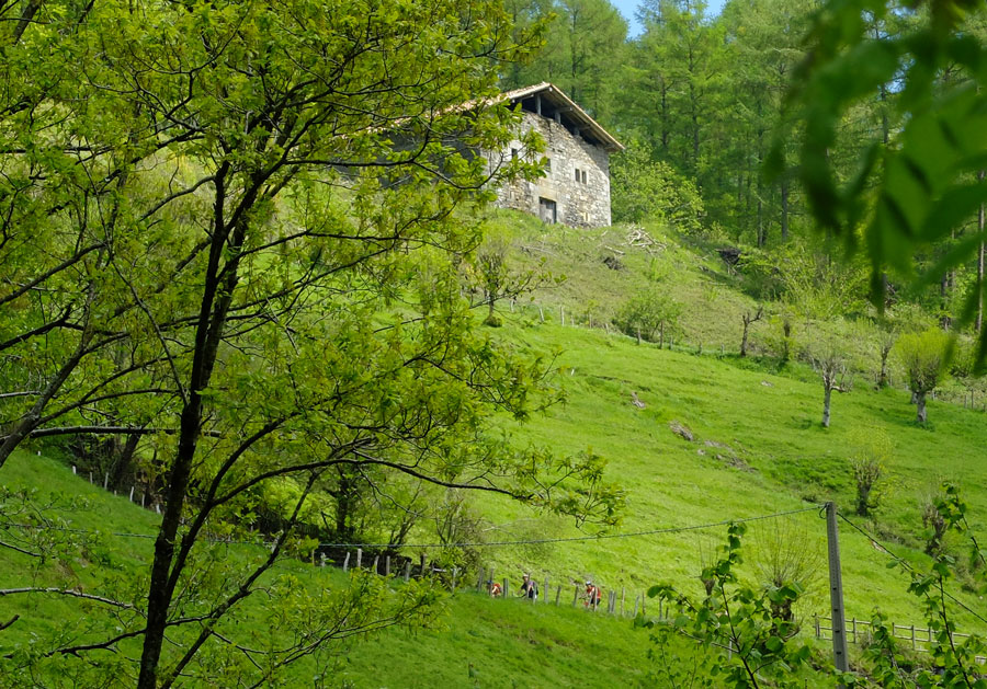 Ederbidea Route, The Beautiful Path