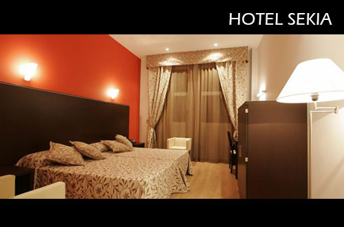 Hotel Sekia room