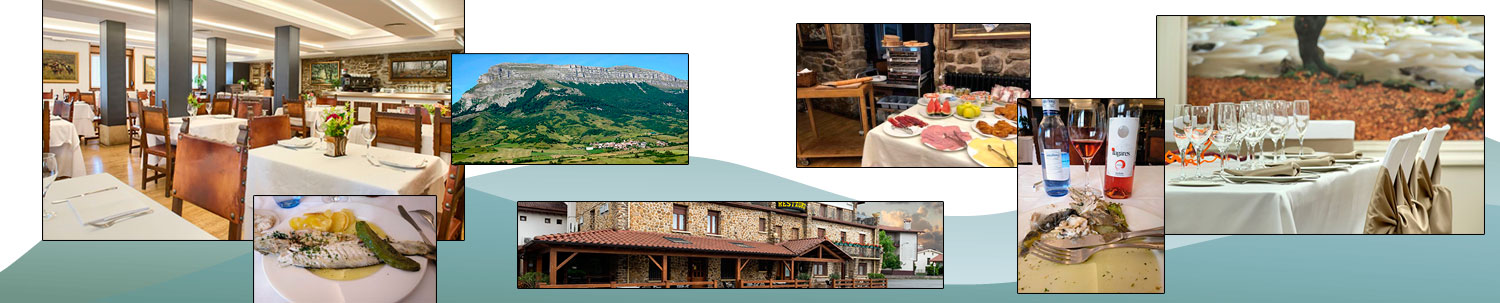 Combi-restaurante-Izar Ondo