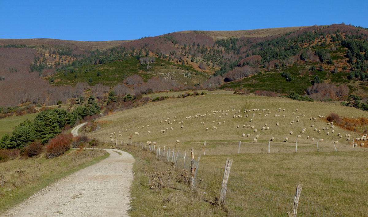 Irati-Roncesvalles-bike-route