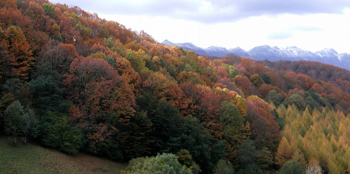autumn in Aralar range