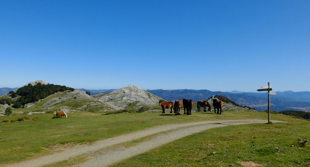 descend to Lekumberri