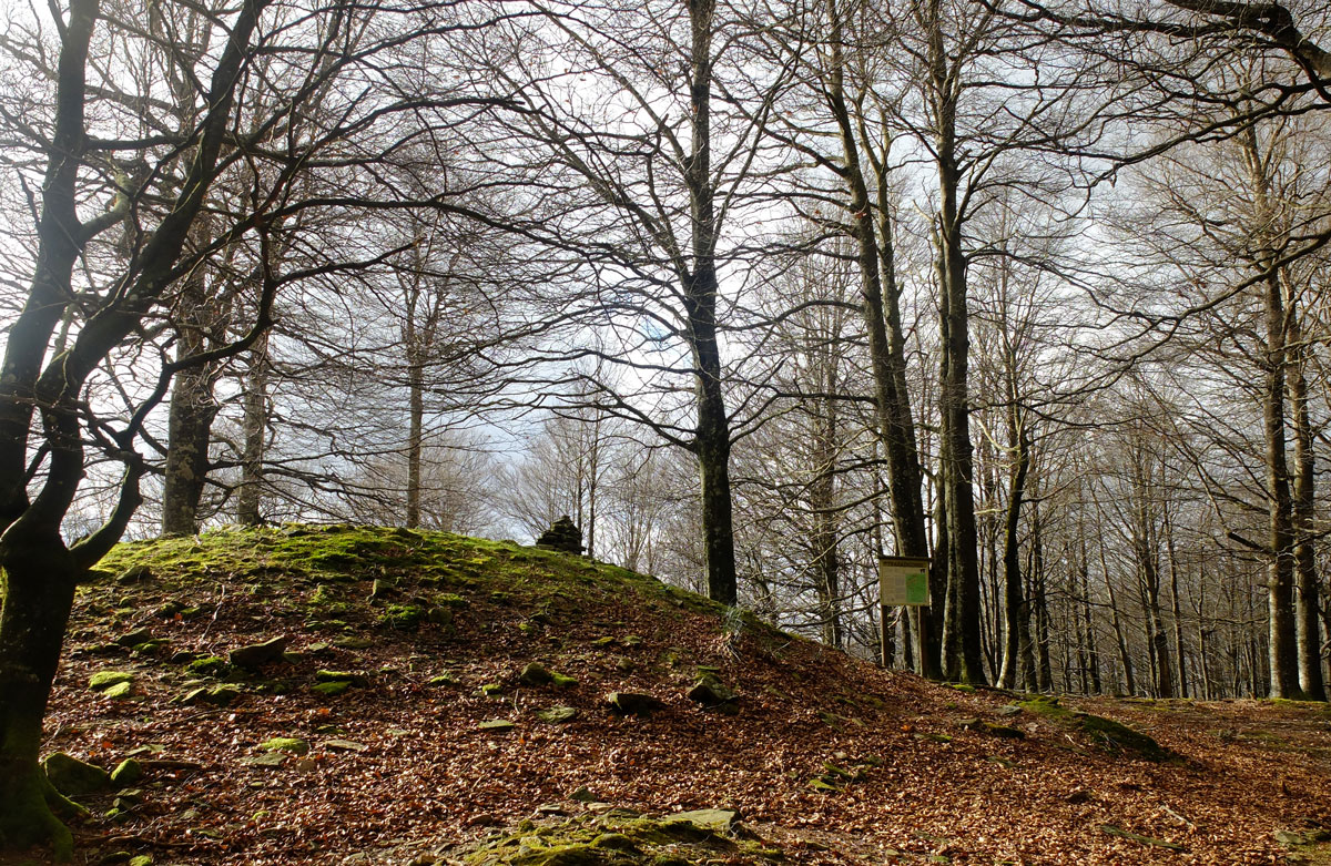 Tumulo-Dolmmen-Txaradigorri