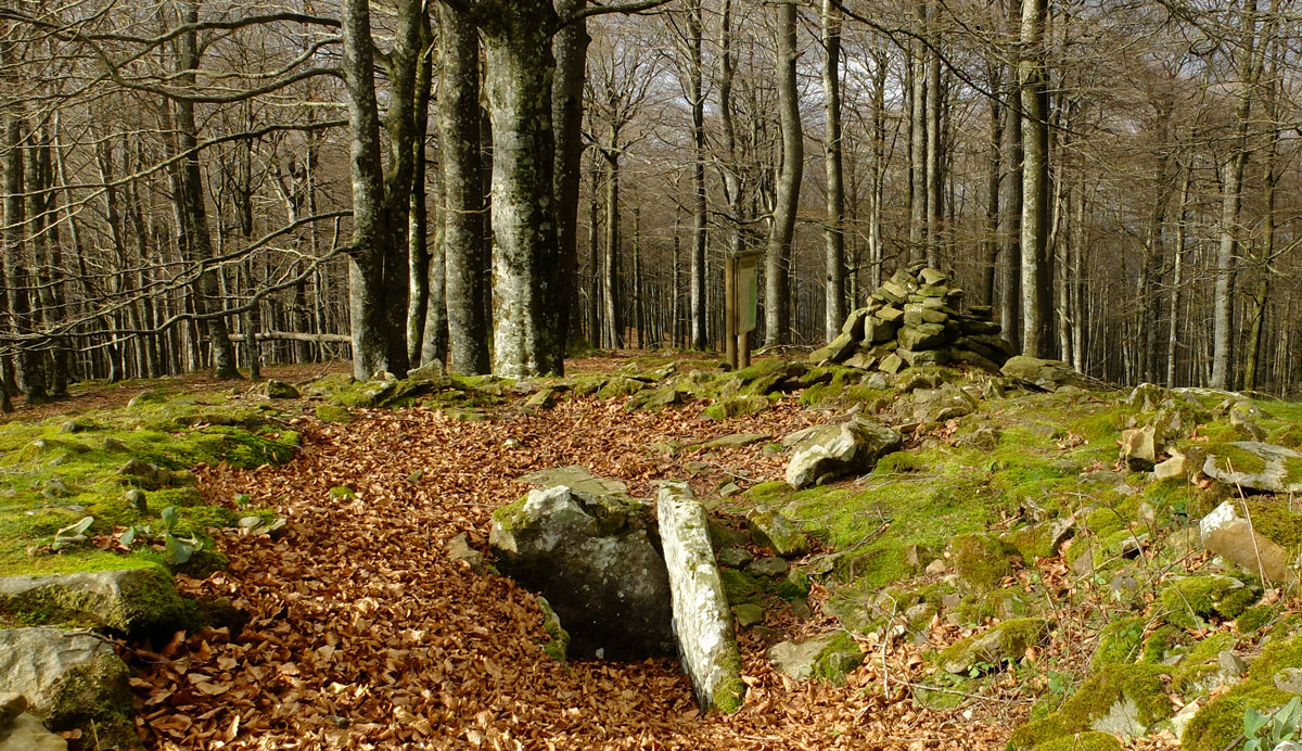 Dolmmen-Txaradigorri