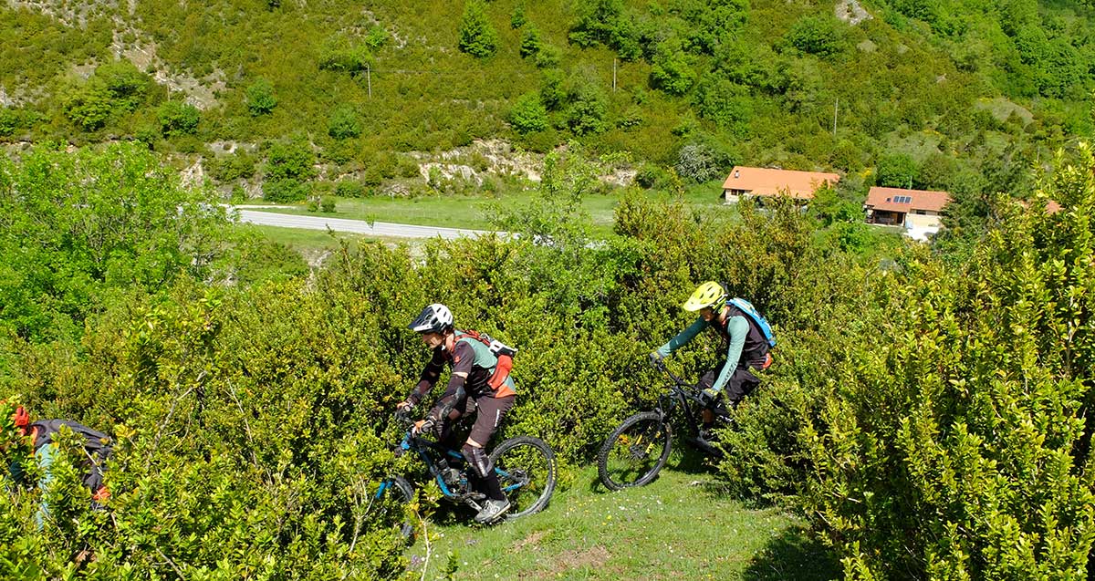 Basoak-MTB-Esteribar-sur
