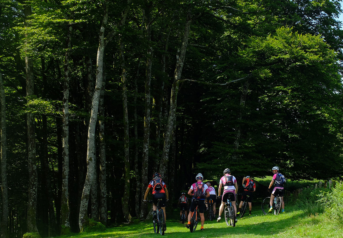 Irati-Roncesvalles-bike-route-stage-2