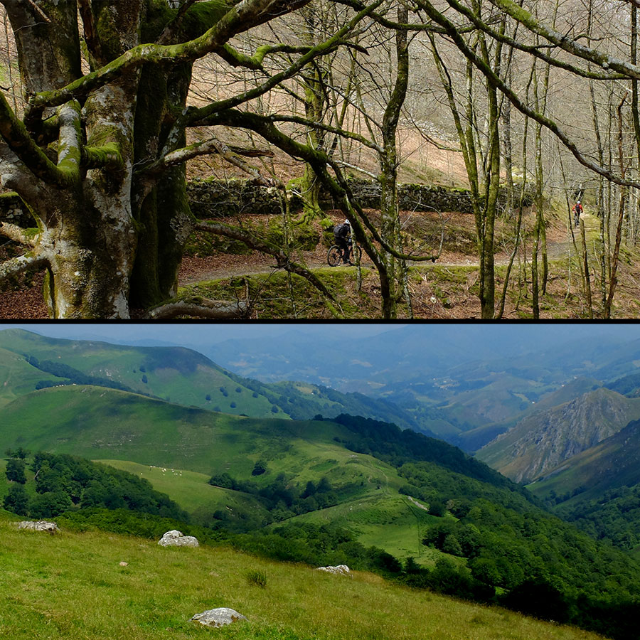 basoak-mtb-tour