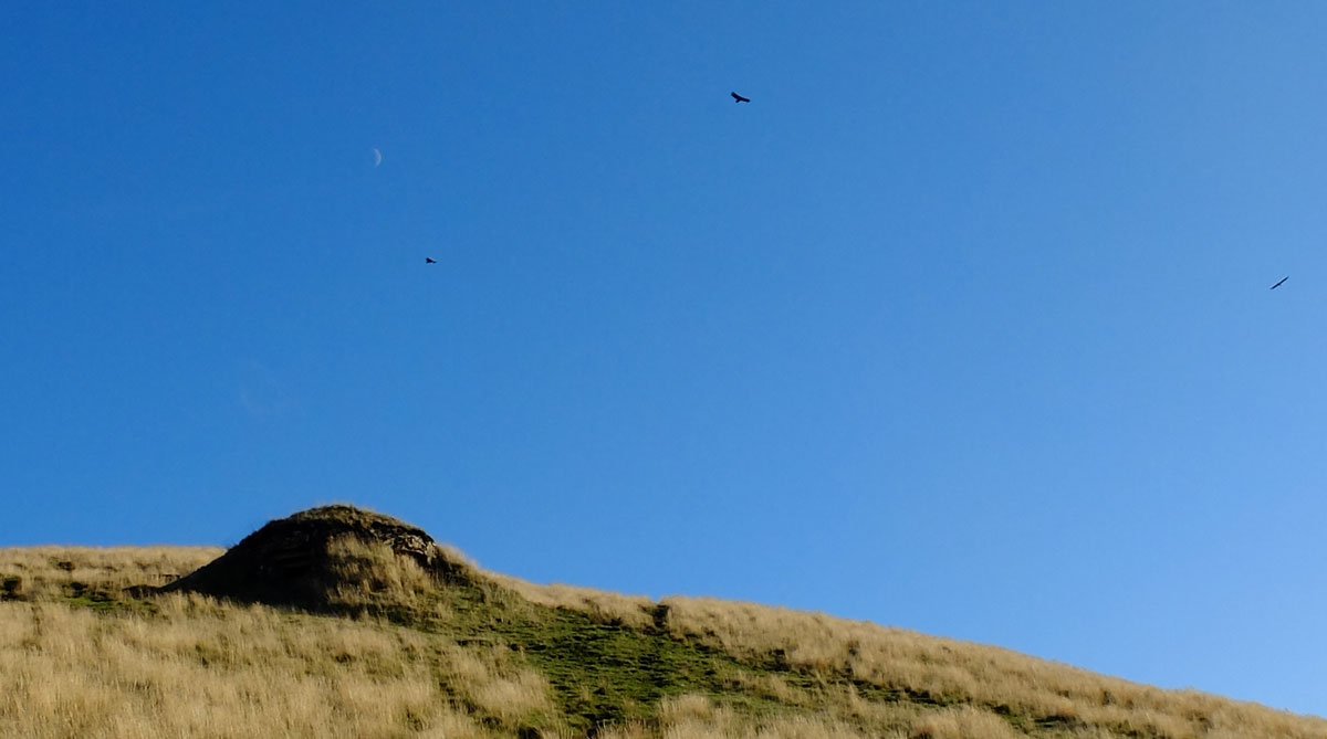 Bunker in Mendiaundi