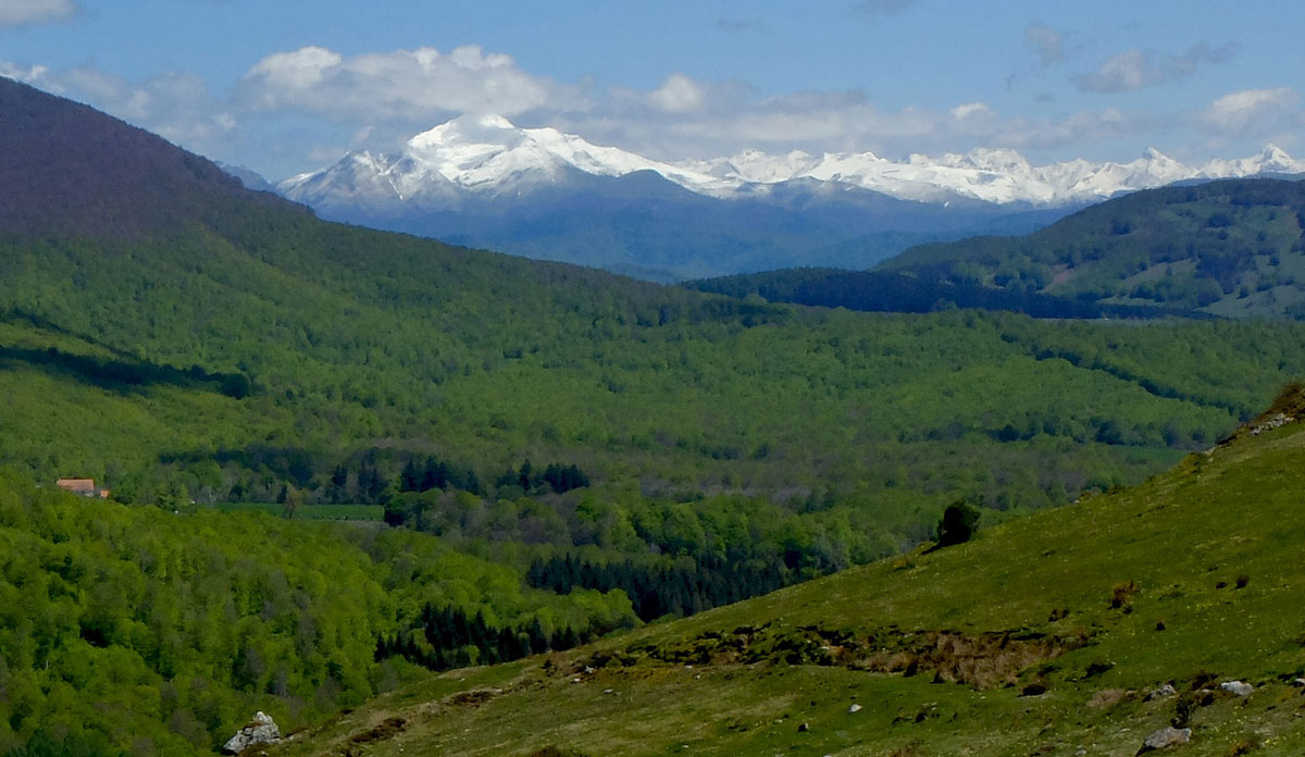 Ori seen from Mendiaundi