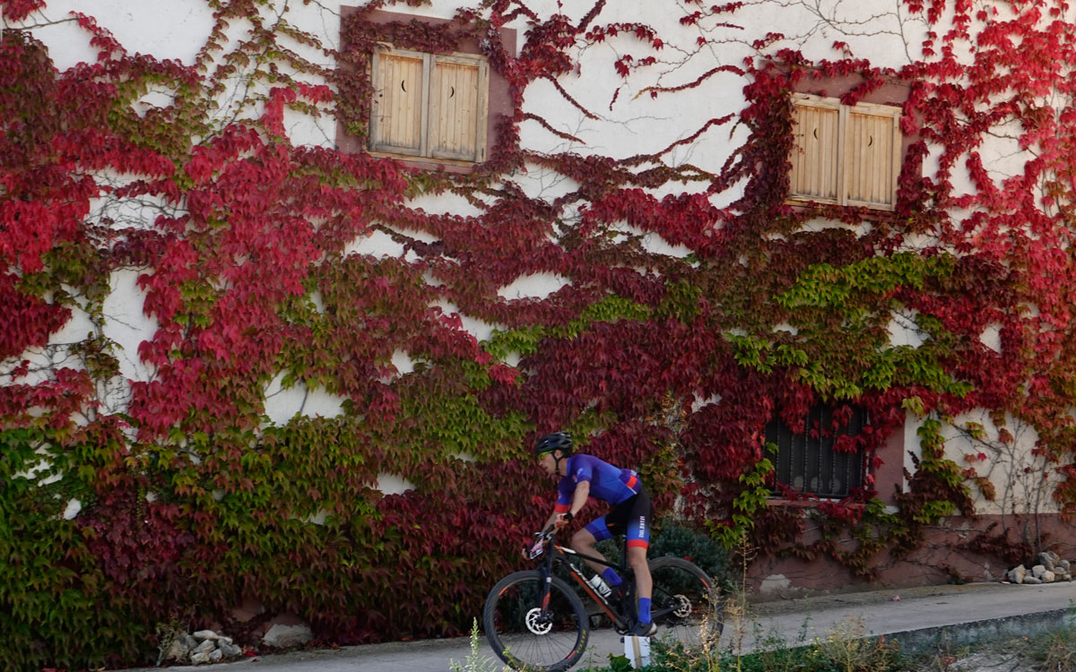 Tierra-Estella-Epic-red-wall