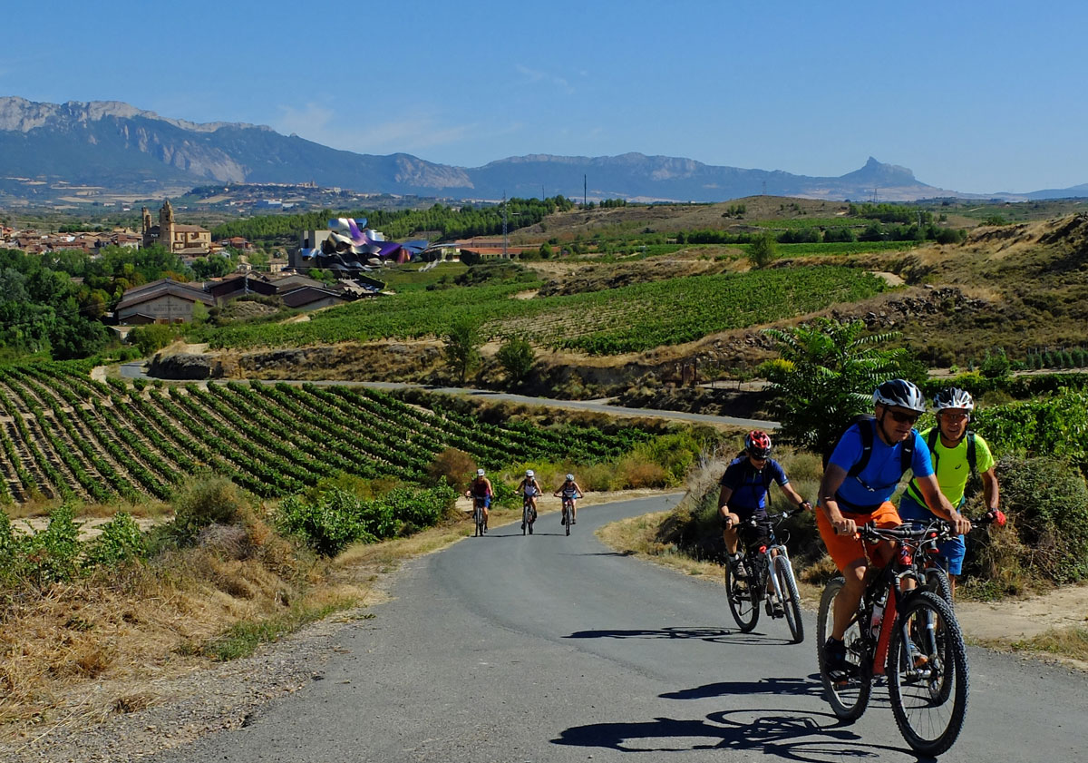 vignobles Marques de Riscal