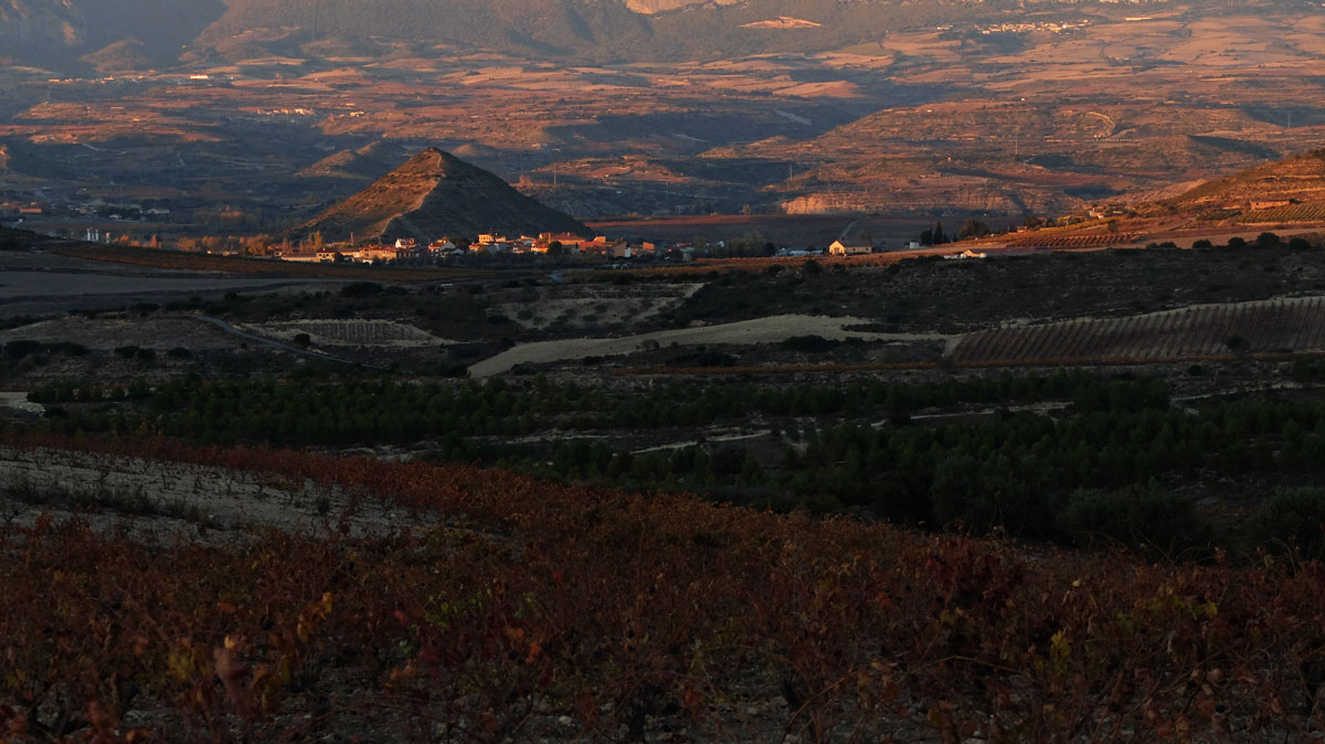 environs d'El Cortijo