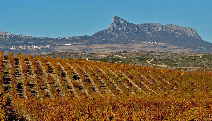 horizon El-Leon-Dormido