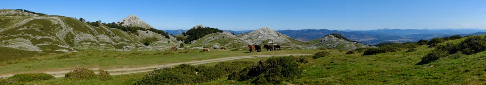Panoramica Aralar con caballos