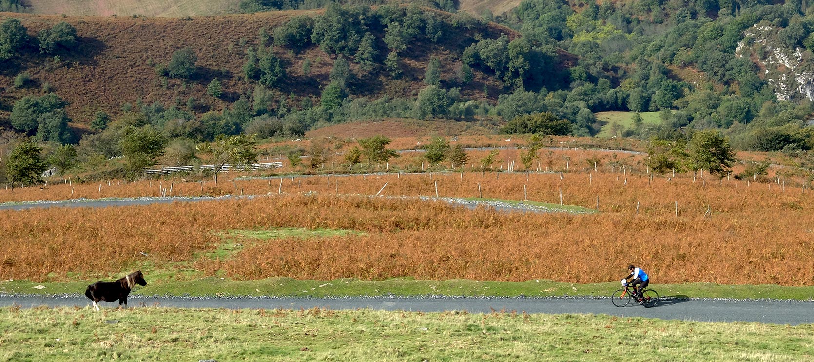 Biker frente a Yegua