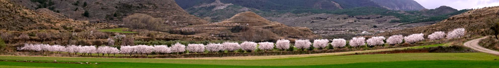 Almendros en línea