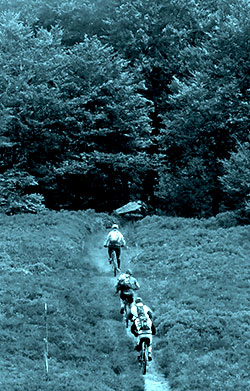 bikers-en-el-bosque